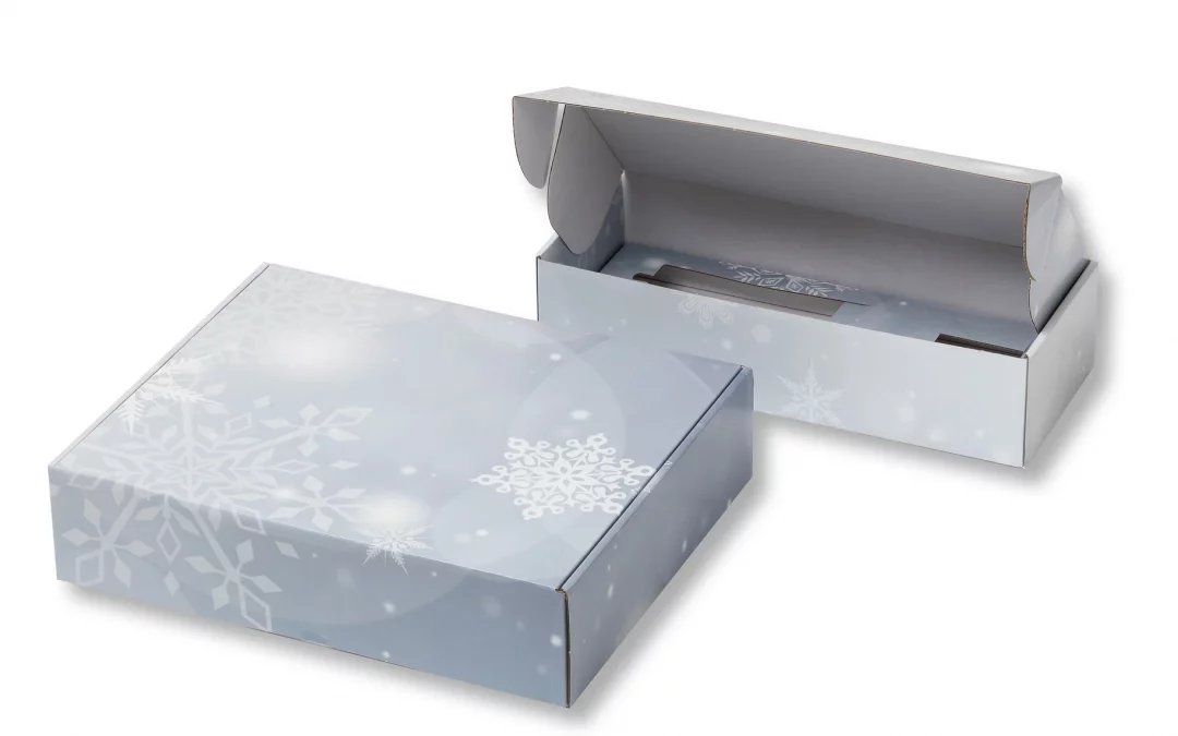 Verpackung aus Wellkarton in Größe L